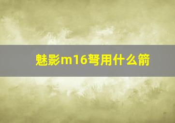 魅影m16弩用什么箭