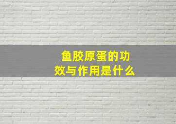 鱼胶原蛋的功效与作用是什么