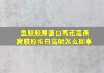 鱼胶胶原蛋白高还是燕窝胶原蛋白高呢怎么回事