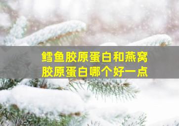 鳕鱼胶原蛋白和燕窝胶原蛋白哪个好一点