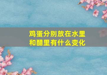 鸡蛋分别放在水里和醋里有什么变化