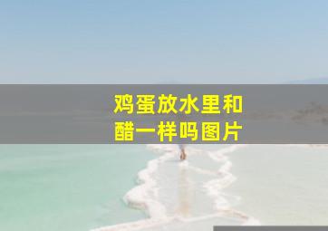 鸡蛋放水里和醋一样吗图片