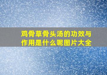 鸡骨草骨头汤的功效与作用是什么呢图片大全