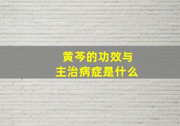 黄芩的功效与主治病症是什么