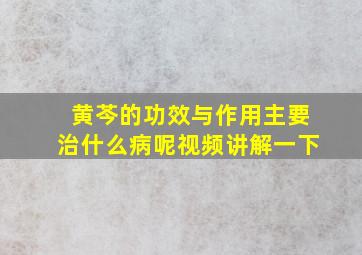 黄芩的功效与作用主要治什么病呢视频讲解一下