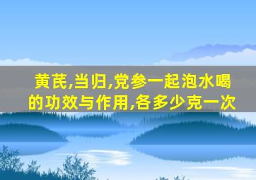 黄芪,当归,党参一起泡水喝的功效与作用,各多少克一次