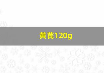 黄芪120g