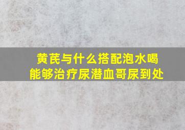 黄芪与什么搭配泡水喝能够治疗尿潜血哥尿到处