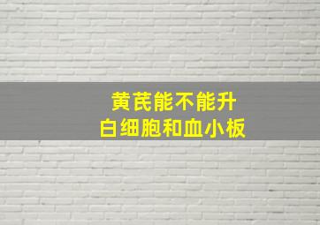 黄芪能不能升白细胞和血小板