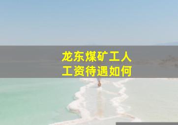 龙东煤矿工人工资待遇如何