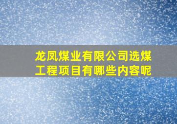 龙凤煤业有限公司选煤工程项目有哪些内容呢