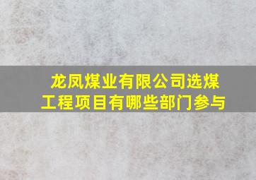 龙凤煤业有限公司选煤工程项目有哪些部门参与