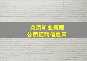 龙凤矿业有限公司招聘信息网