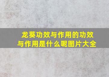 龙葵功效与作用的功效与作用是什么呢图片大全