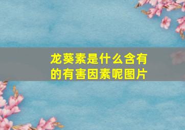 龙葵素是什么含有的有害因素呢图片